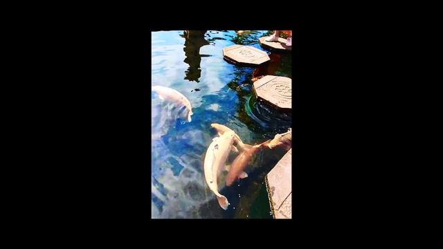 Taman Tirta Gangga Part II смотреть онлайн