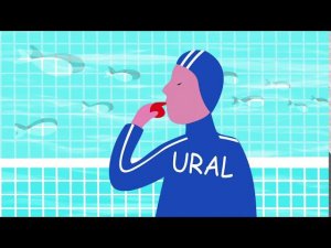 Школа развития режиссёр Анастасия Соколова