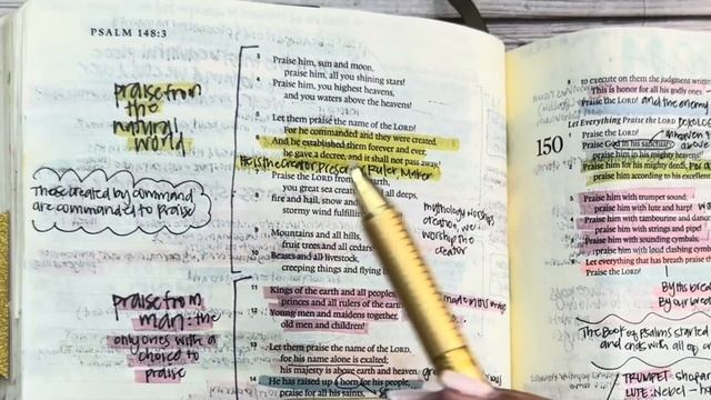 Study the Bible in One Year: Day 166 Psalms 134 & 146-150 смотреть онлайн