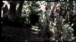 Cradle Of Filth - Mannequin