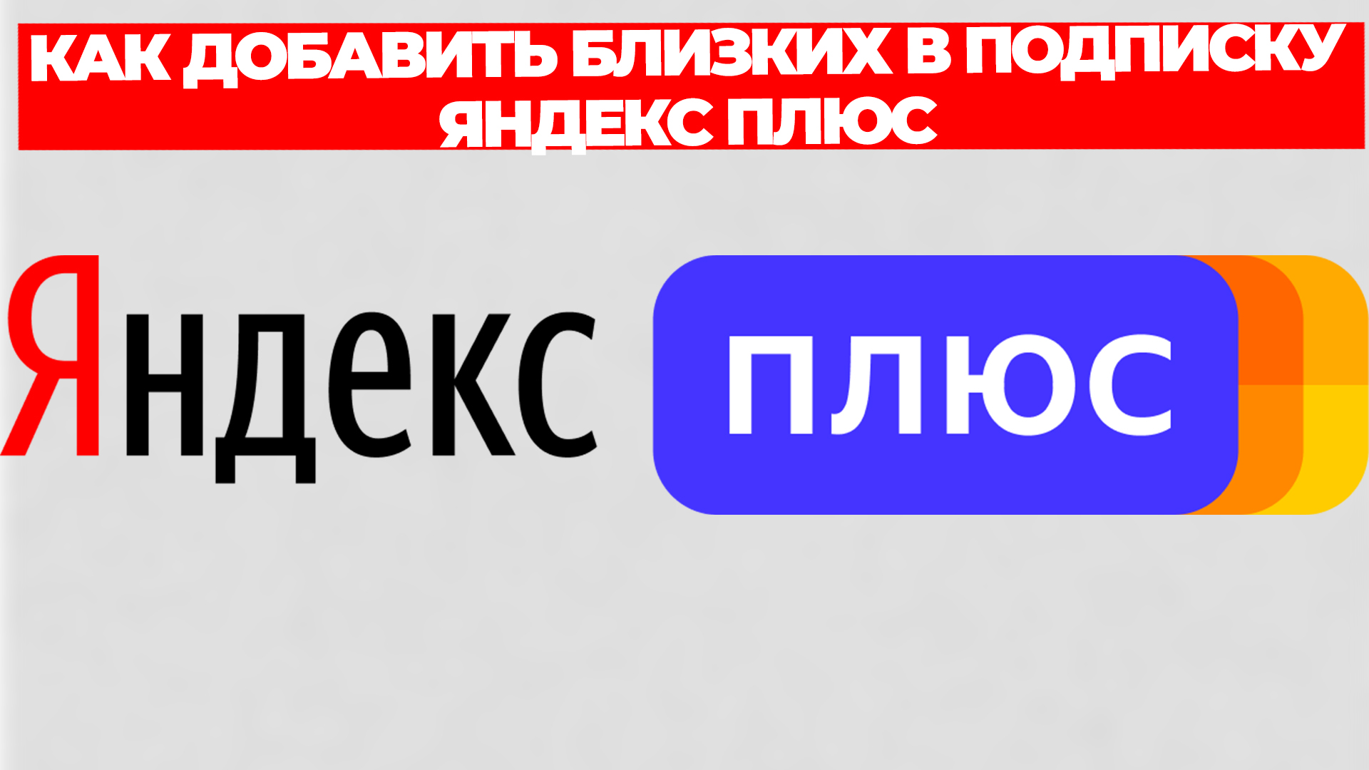 Всезнающий Енот