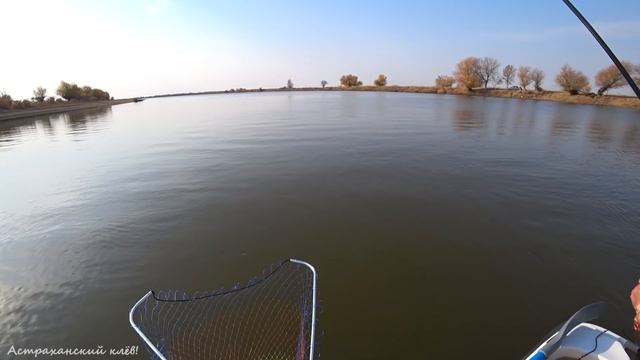 Крупный СУДАК на джиг! Крупная ЩУКА! Мощные удары! Осенняя рыбалка Астрахань! смотреть онлайн