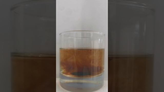 Pure Chaga Mushroom Instant