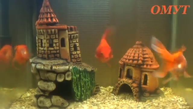 15 . КРЕСТ С РАСПЯТИЕМ ИЛИ НЕТ...СПАСИБО ИЛИ БЛАГОДАРЮ.... смотреть онлайн