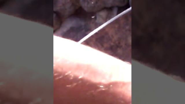 Wurm Rohr , Terrassen Kompost смотреть онлайн