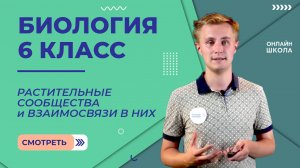 Растительные сообщества и взаимосвязи в них. Видеоурок 28. Биология 6 класс