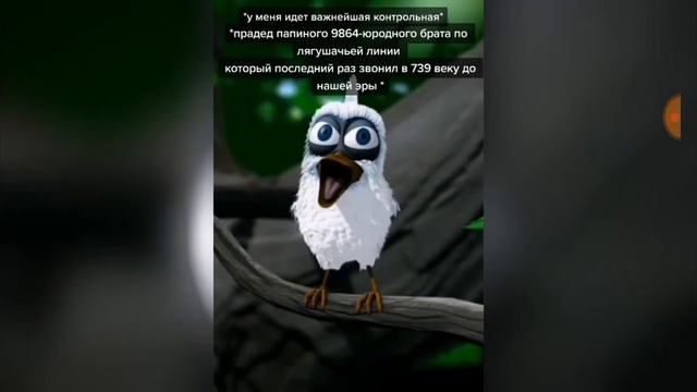 Откуда мэмы?Кот Мяукает,Белая птичка кричит,Ты забанен не разбаню и Чупапи мюняню смотреть онлайн