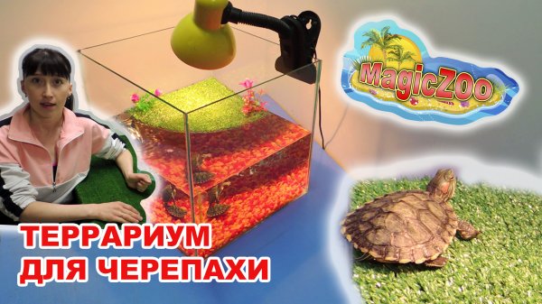 Красноухая черепаха. Уход и содержание. Террариум для красноухих черепах своими руками.