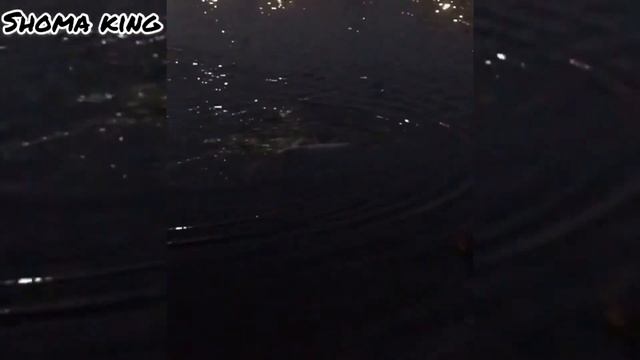 Поймали огромную рыбу на озере Ак Гёль. Озеро Ак Гёль. Рыбалка. Махачкала 2019 смотреть онлайн