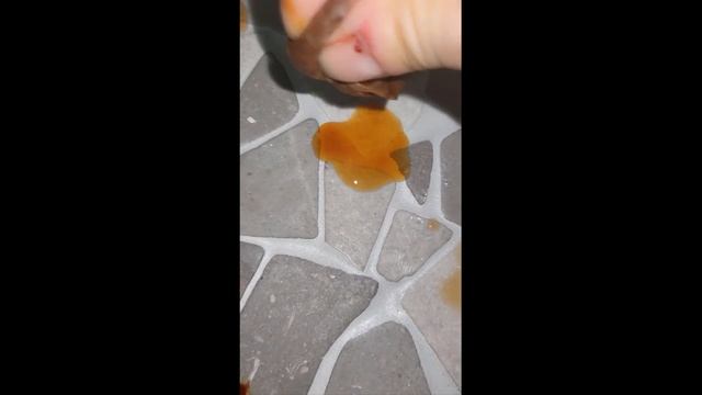 Эпоксидная затирка. Проверка швов на впитываемость. смотреть онлайн