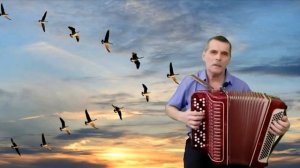 Дворовая песня. Журавли караваном все на юг улетают. На баяне.