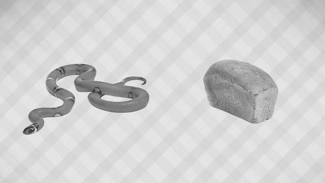 Строительные Инсайты