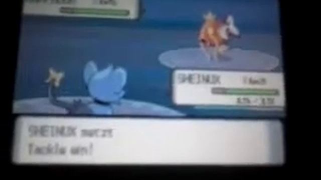Lets play pokemon perl part 6 german смотреть онлайн