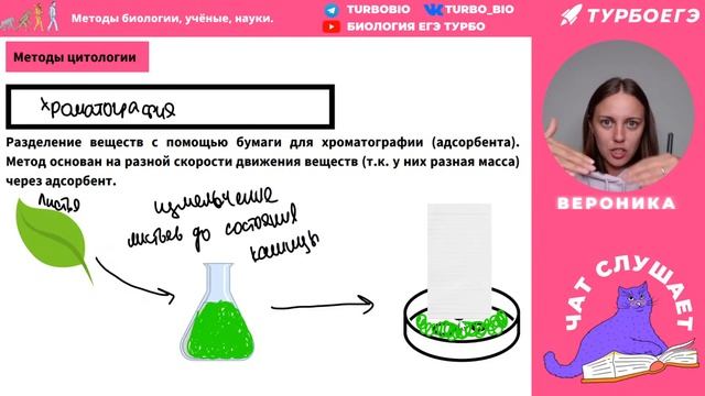 Методы изучения в биологии. Ученые, их достижения и науки смотреть онлайн