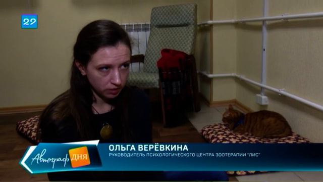 25 02 2020 Центр "ЛИС" смотреть онлайн