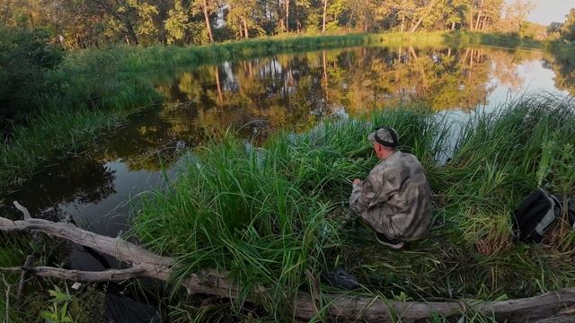 Нерест карася на озере в июне. Клёв почти прекратился смотреть онлайн