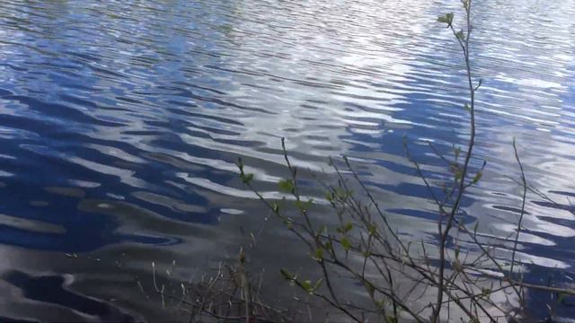 Озеро Подгорное в слободе Тараево смотреть онлайн