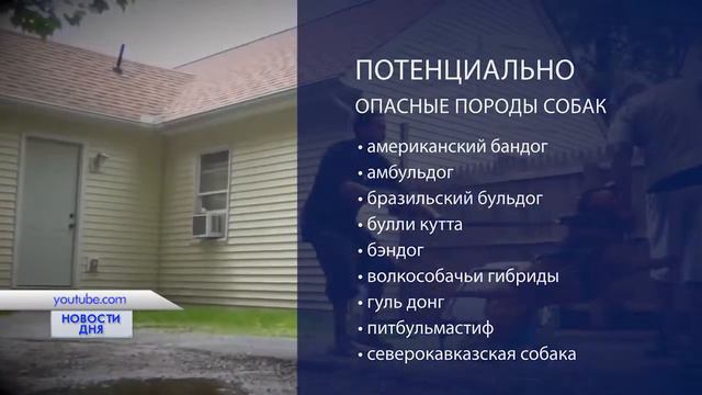 СПИСОК ОПАСНЫХ СОБАК смотреть онлайн