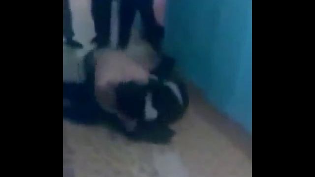 Как нужно вести себя во время и перед дракой смотреть онлайн