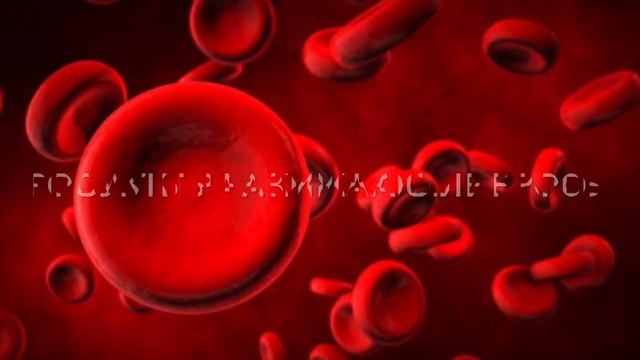 Руководство к Искусству