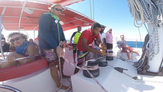 Ocean Diva Catamaran Sailing Somabay. Dolphin sightings. смотреть онлайн