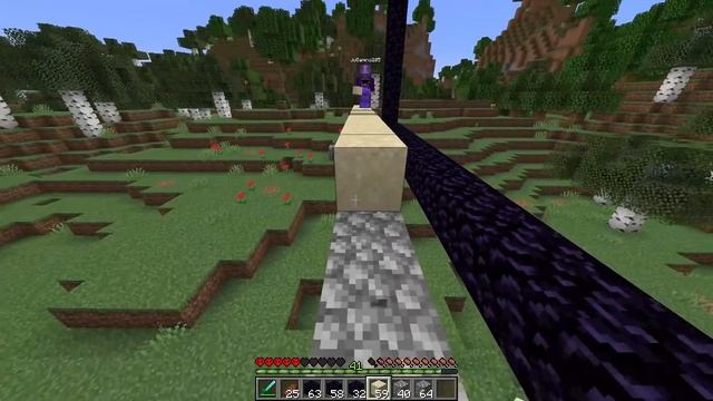1027 Shulkers VS Minecraft SMP To Get REVENGE смотреть онлайн