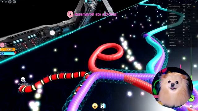 СЛИЗАРИО В РОБЛОКС или стала ЧЕРВЯКОМ в роблоксе | Wormface Roblox | Slitherio в Роблоксе