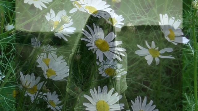 ПЛАЧ. Автор Екатерина Северин. Исполняет Юлия Земзюлина. Гитара Вадим Хусаинов.