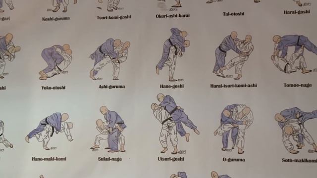 В Молдове пройдет чемпионат по бразильскому джиу-джитсу смотреть онлайн