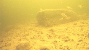 Какая лучше МОРМЫШКА НА пассивного ОКУНЯ / Подводная съемка рыбалки