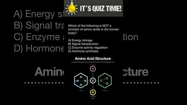 Primary function of amino acids in the human body смотреть онлайн