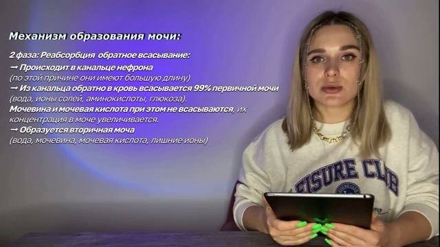 Реабсорбция | образование мочи. Анатомия. Биология ЕГЭ 2023. Бесплатные конспекты по анатомии ?? смотреть онлайн