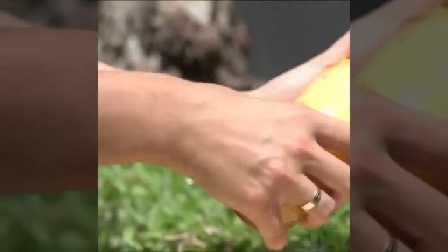 Как самому почистить манго смотреть онлайн