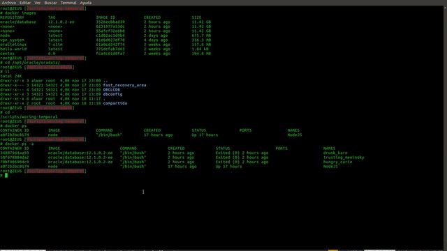 docker y oracle db 12.1 Enterprise смотреть онлайн