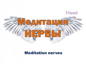 Медитация НЕРВЫ / Meditation nerves