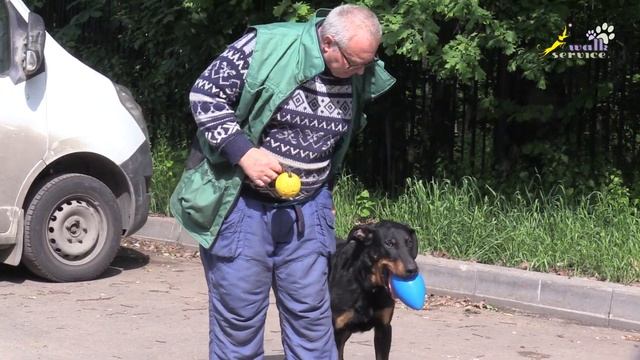 Тригер 67 и Босерон, сложный предмет для апортировки смотреть онлайн