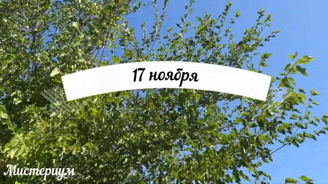 Дни СИЛЫ в НОЯБРЕ 2022. Самые благоприятные дни месяца. Что нужно успеть... смотреть онлайн