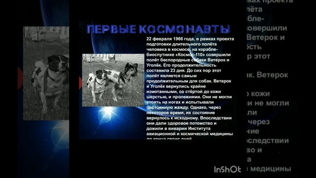 Страна, открывшая путь в космос.