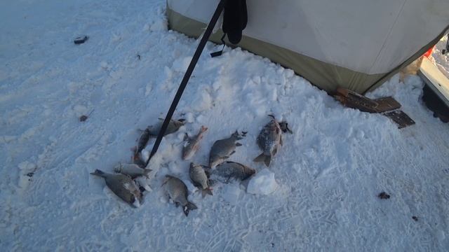 Зимняя рыбалка с ночевкой на Салтаиме - Карась и окунь смотреть онлайн