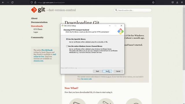 How to install Git on Windows 10. Git installation in Windows tutorial- DEVELOPMENT WITH NAYEM / DW смотреть онлайн
