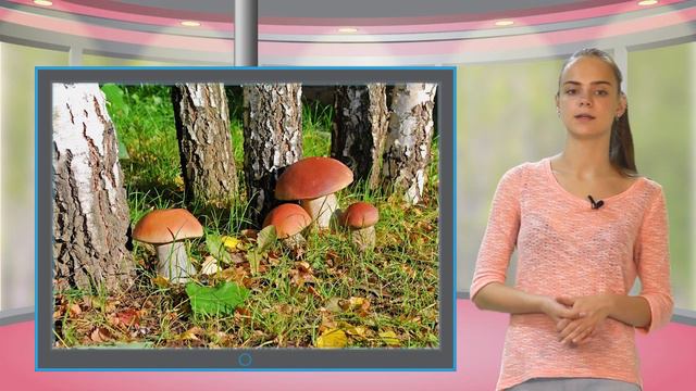Nature ukr 011 смотреть онлайн