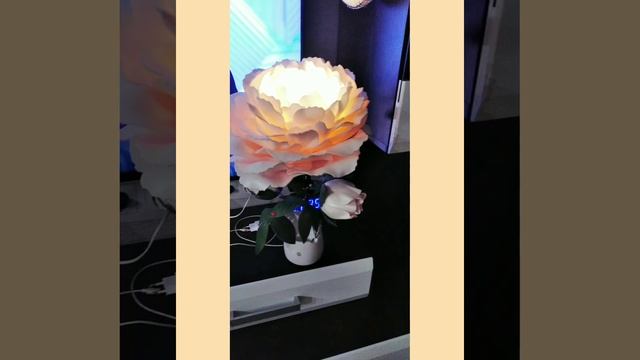 светильники"ПИОНЧИКИ" из изолона.... смотреть онлайн