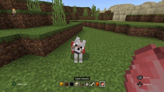 Как приручить волка в майнкрафте? Как размножать волков в майнкрафт? Как сделать собаку майнкрафт? смотреть онлайн