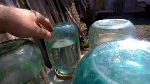 Кобальт для пчёл. Сколько соли и кобальта давать пчёлам.