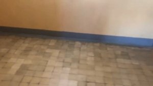 Лифт ЩЛЗ 2008 г. @ Ул. Б. Зеленовская, 58 (г. Подольск, МО)