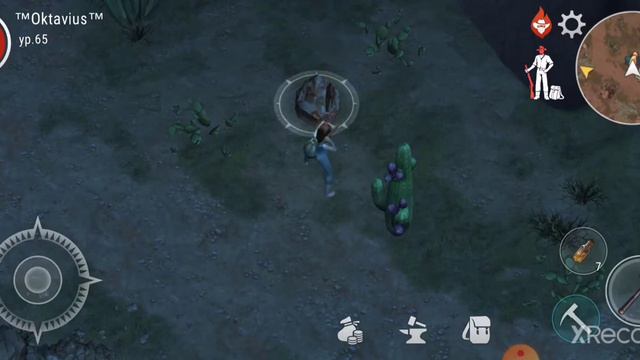 Westland Survival, Каменное плато смотреть онлайн