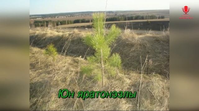 ♪ ОЙ, СЮЛМЫ, СЮЛЭМЫ Надежда Уткина (КАРАОКЕ) смотреть онлайн