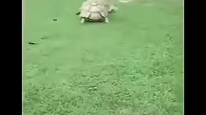 Если друг не смеётся ты включи ему солнце...