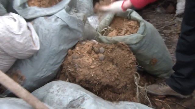 Конский навоз как органическое удобрение