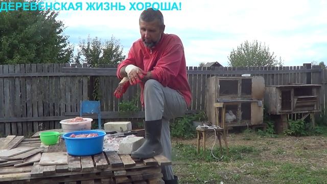 УБРАЛ ИНДЮКОВ/ЖИВЁМ НА ДВА ДОМА/КАК ОНА СПРАВЛЯЕТСЯ?/ смотреть онлайн